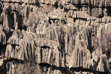 Ankaran limestone rock formations look like on another planet,  Ankarana, Madagascar