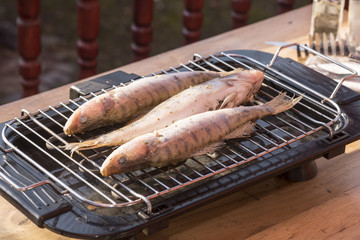 Fish perch baked at home on the grill