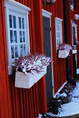 Szwedzki domek zimą - obrazy, fototapety, plakaty