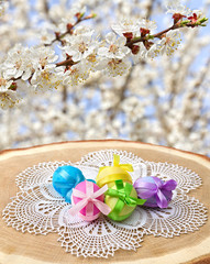 Easter eggs on wood surface (oak) on background of blooming apricot tree.