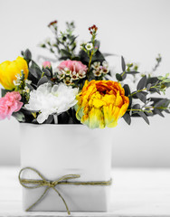 live spring flowers on white background