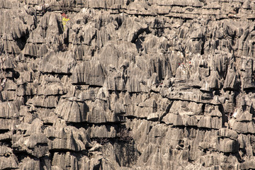 Ankaran limestone rock formations look like on another planet, Madagascar