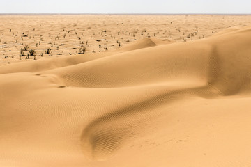 outdoor sand pattern dune oman old desert rub al khali
