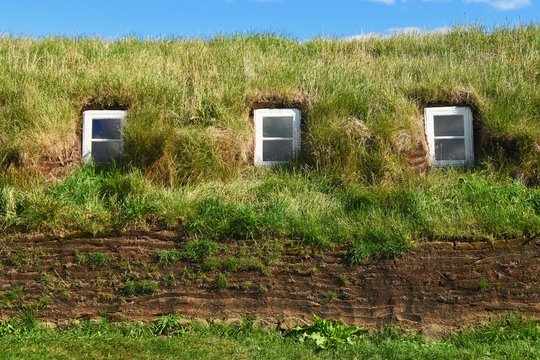 Grassodendach (Island)