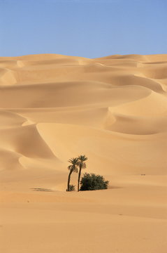Mandara area, Southwest desert, Libya