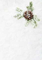 Christmas decoration. Branch christmas tree and cone pine on snow. Top view, flat lay