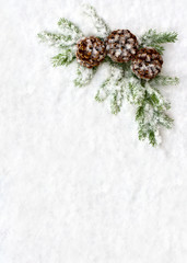 Christmas decoration. Branch christmas tree and cone pine on snow. Top view, flat lay