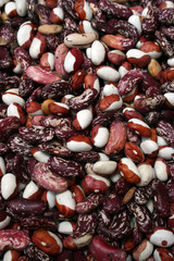 Many kidney beans