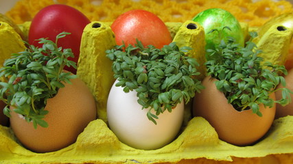 Easter. Painted eggs and watercress in eggshells