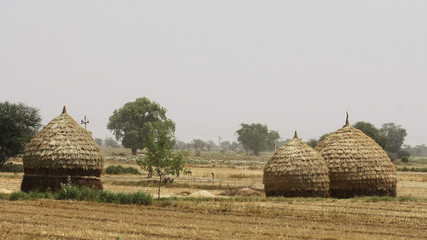 Straw loft in India