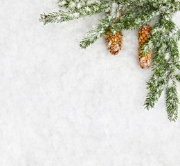 Christmas decoration. Branch christmas tree and cones spruce on snow. Top view, flat lay