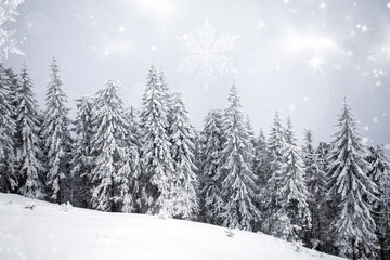 Winter landscape with snowy fir trees