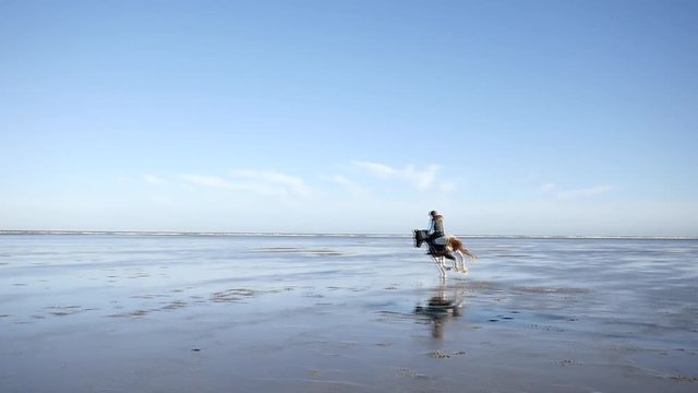cavalières galopant  sur la plage(slow motion)