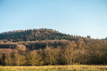 Fototapeta premium Wald im Spätherbst