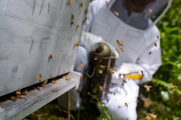 Closeup of beekeeper smoking hive