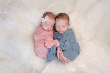 Fraternal Twin Baby Brother and Sister