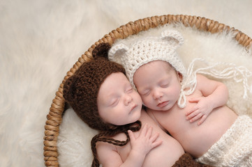 Fraternal Twin Baby Brother and Sister in Bear Hats