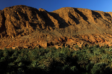 Fototapeta na wymiar Todra Schlucht, Tinghir, Marokko, Flussoase, Palmen< english> Todra Gorges, Tinghir, Morocco, oasis, Palmtrees