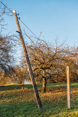 Fototapeta premium Masten