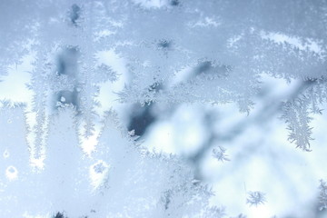 tracery of hoar on window. winter miracle