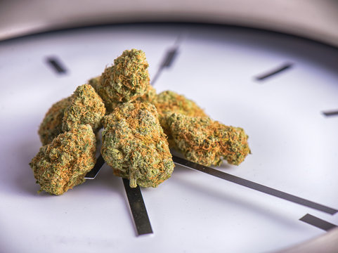 Dried cannabis buds on a clock with time in 4:20 - medical marij
