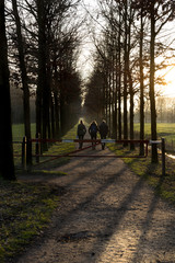 Three people walking at a path between meadows with trees at sun
