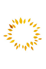 Yellow leaves arranged in round shape on white background. 