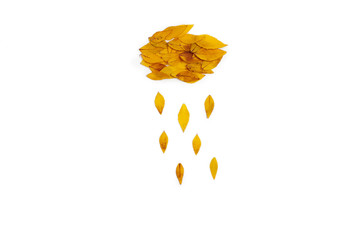 Yellow leaves arranged in cloud with rain shape on white 