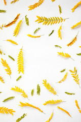 Creative arrangement of yellow autumn leaves on white background