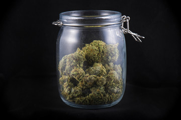 Cannabis bud in a glass jars isolated on black - medical marijua
