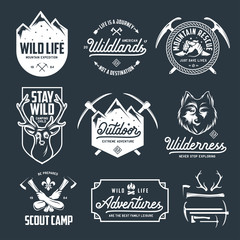 Set of outdoor wild life related labels badges emblems. Vector vintage illustration.