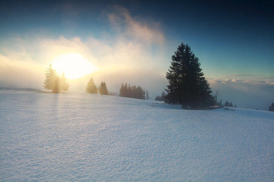 Foggy Winter Sunrise On Mountaintop