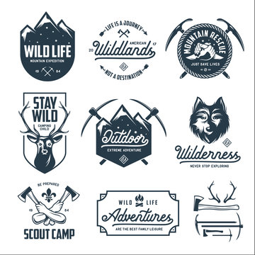 Set of outdoor wild life related labels badges emblems. Vector vintage illustration.