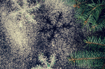 Christmas fir tree and snowflakes on chalkboard background