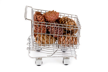 Cedar cones in the shopping cart on white background