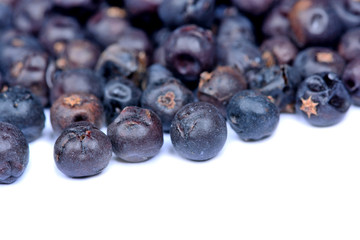 Group of juniper on white background