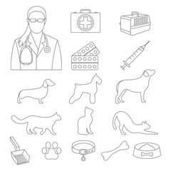 Veterinary clinic set with dog and cat and laboratory equipment