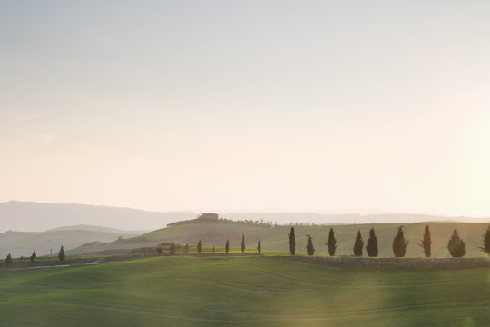 Farm, country road and cypresses near Pienza at sunset, Val D'Orcia, Tuscany