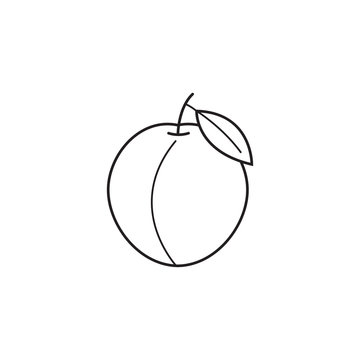 Peach line icon, healthy fruit, vector graphics, a linear pattern on a white background, eps 10.