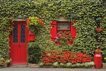 Ivy covered cottage, Town of Borris, County Carlow, Leinster, Republic of Ireland