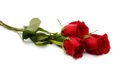 Foto op Plexiglas Rozen rode roos boeket geïsoleerd op witte achtergrond