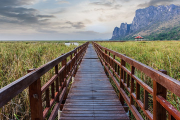 Walk way at national park in Thailand Asia