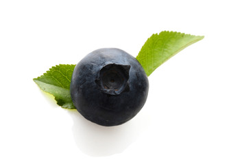 fresh blueberries isolated on white background
