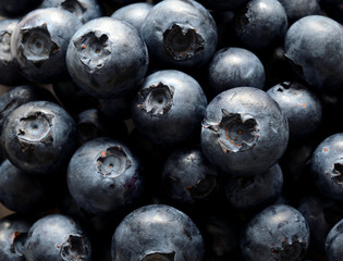 fresh blueberries isolated on white background