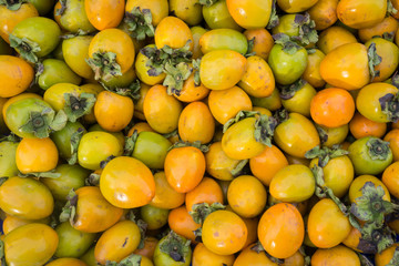 Group of the persimmons