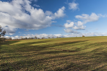 Green field with blue sky and white clouds