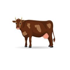 Cow isolated on a white background. Vector flat ilustration