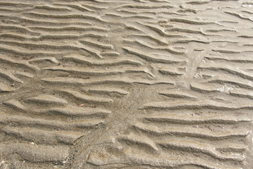 Fototapeta na wymiar Ripples in the sand on North Beach.
