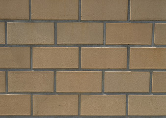 Fototapeta premium Wall