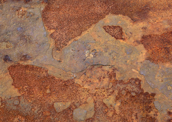 Wall